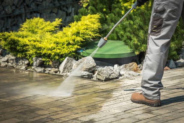 Best Animal Enclosure Cleaning  in Tavares, FL