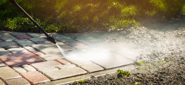 Best Building Exterior Washing  in Tavares, FL