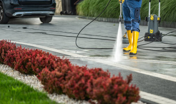 Best Graffiti Removal  in Tavares, FL